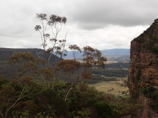 P1071320a.jpg